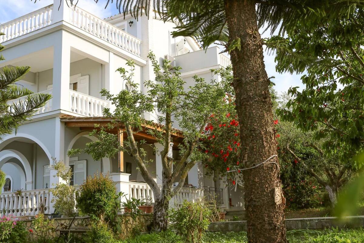 Theros Villa Πλάνος Εξωτερικό φωτογραφία