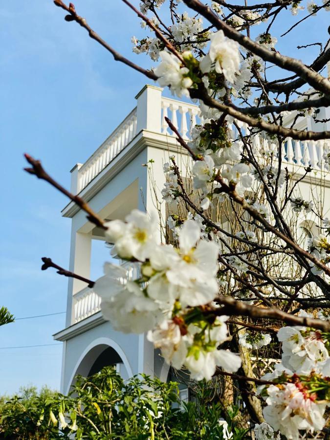 Theros Villa Πλάνος Εξωτερικό φωτογραφία
